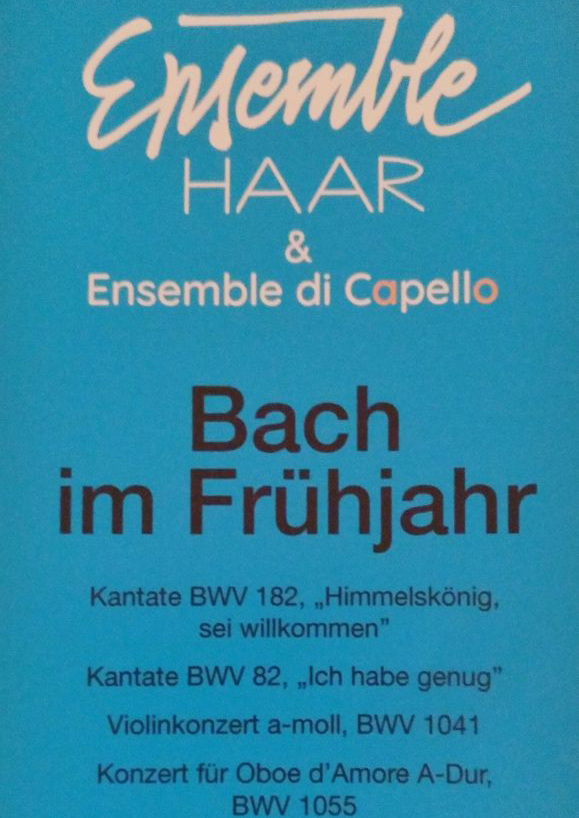 Bach im Frühling